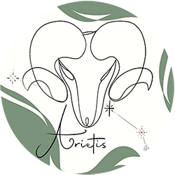 Arietis